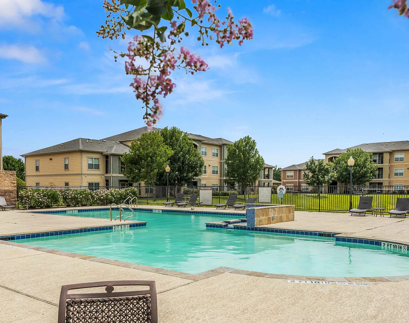 Pool with a sun deck and lounge chairs under a flowering crape myrtle, with apartment buildings beyond