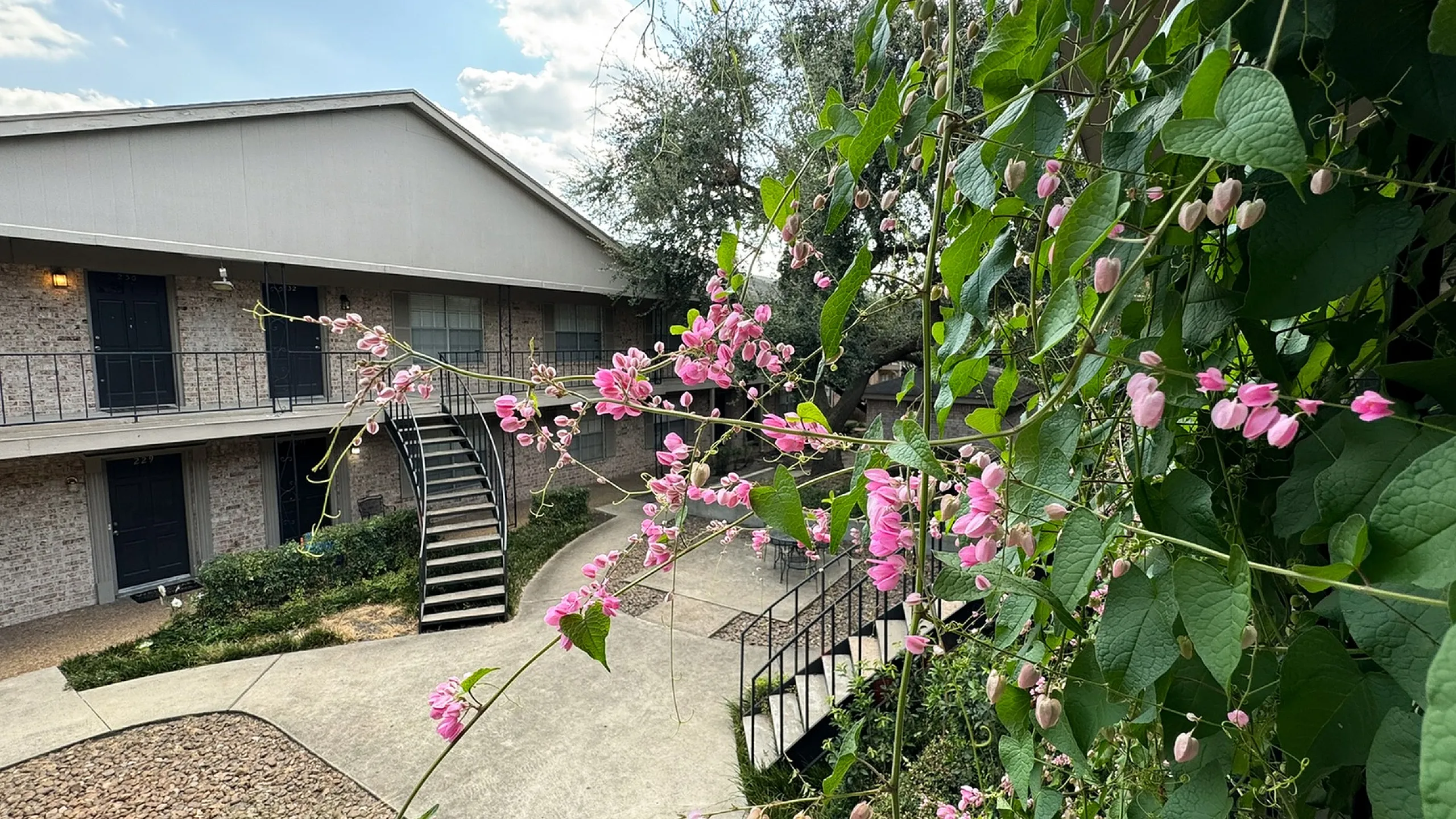 Courtyard with pink flowering vine, concrete walkway and exterior stairs, Memorial City, Houston TX