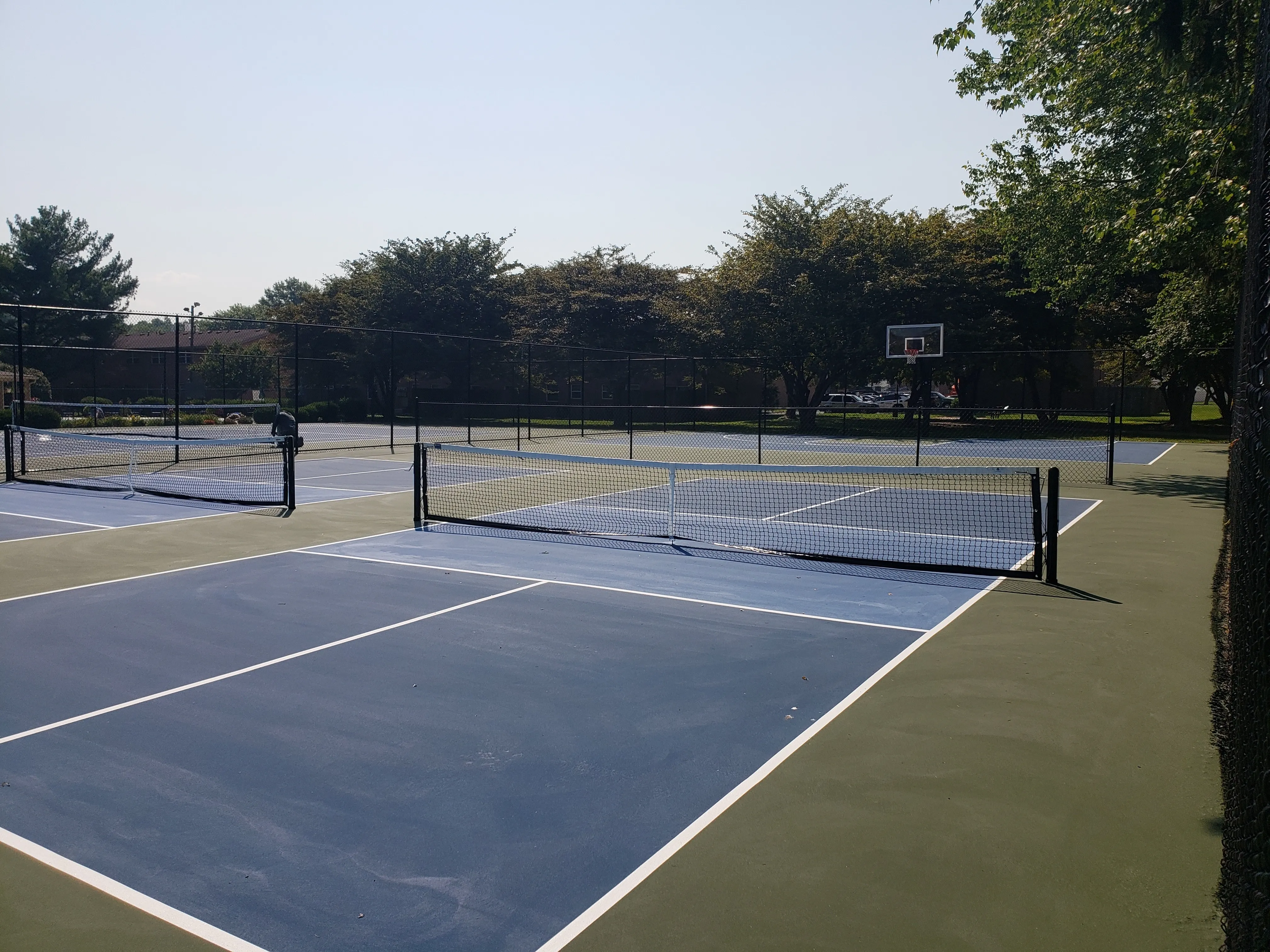 Pickleball Anyone?