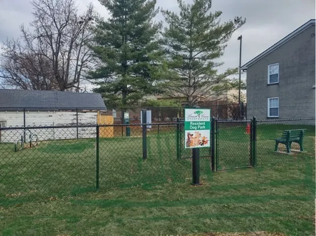 Great Puppy Play Area