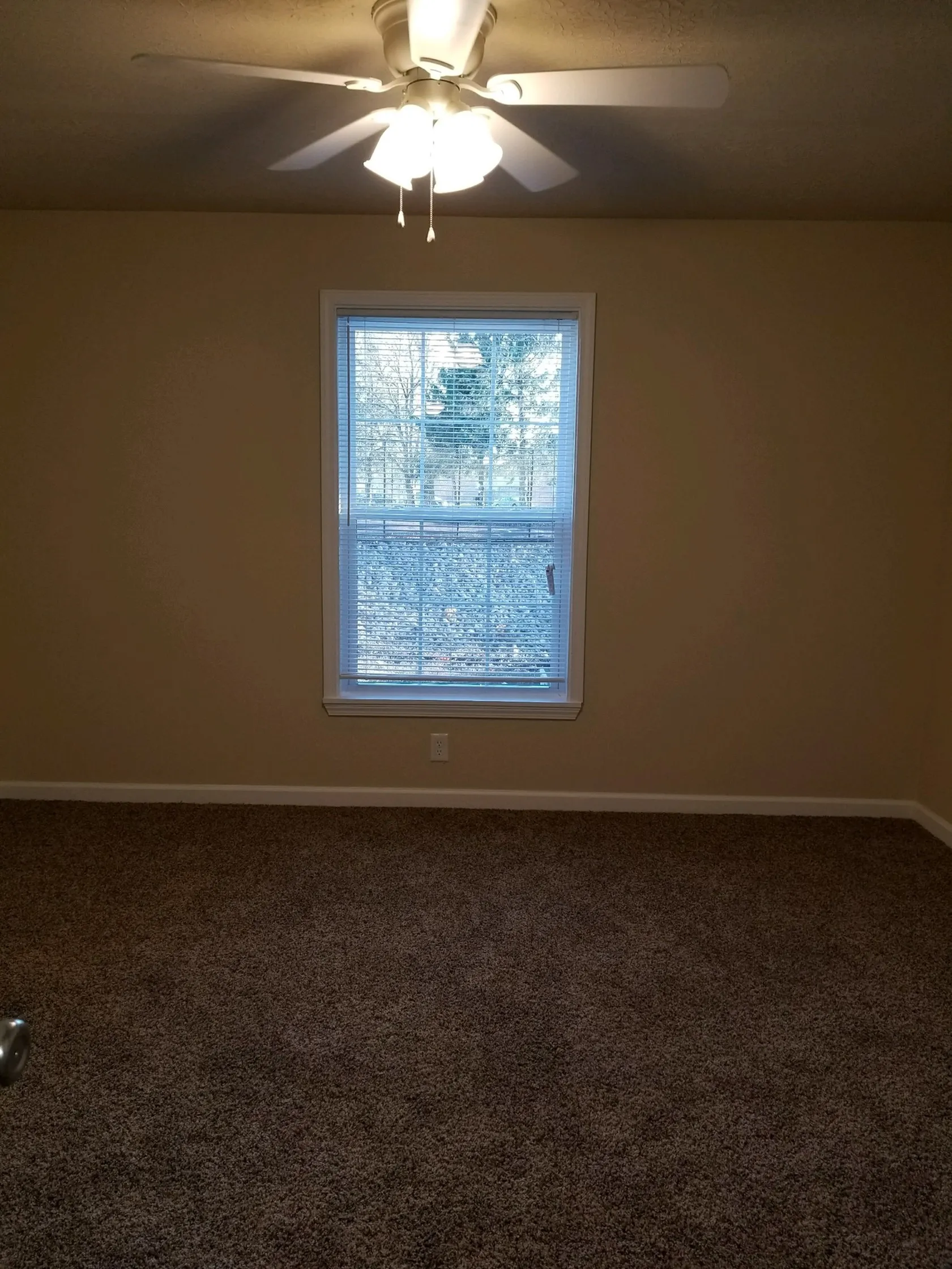 Large Bedroom