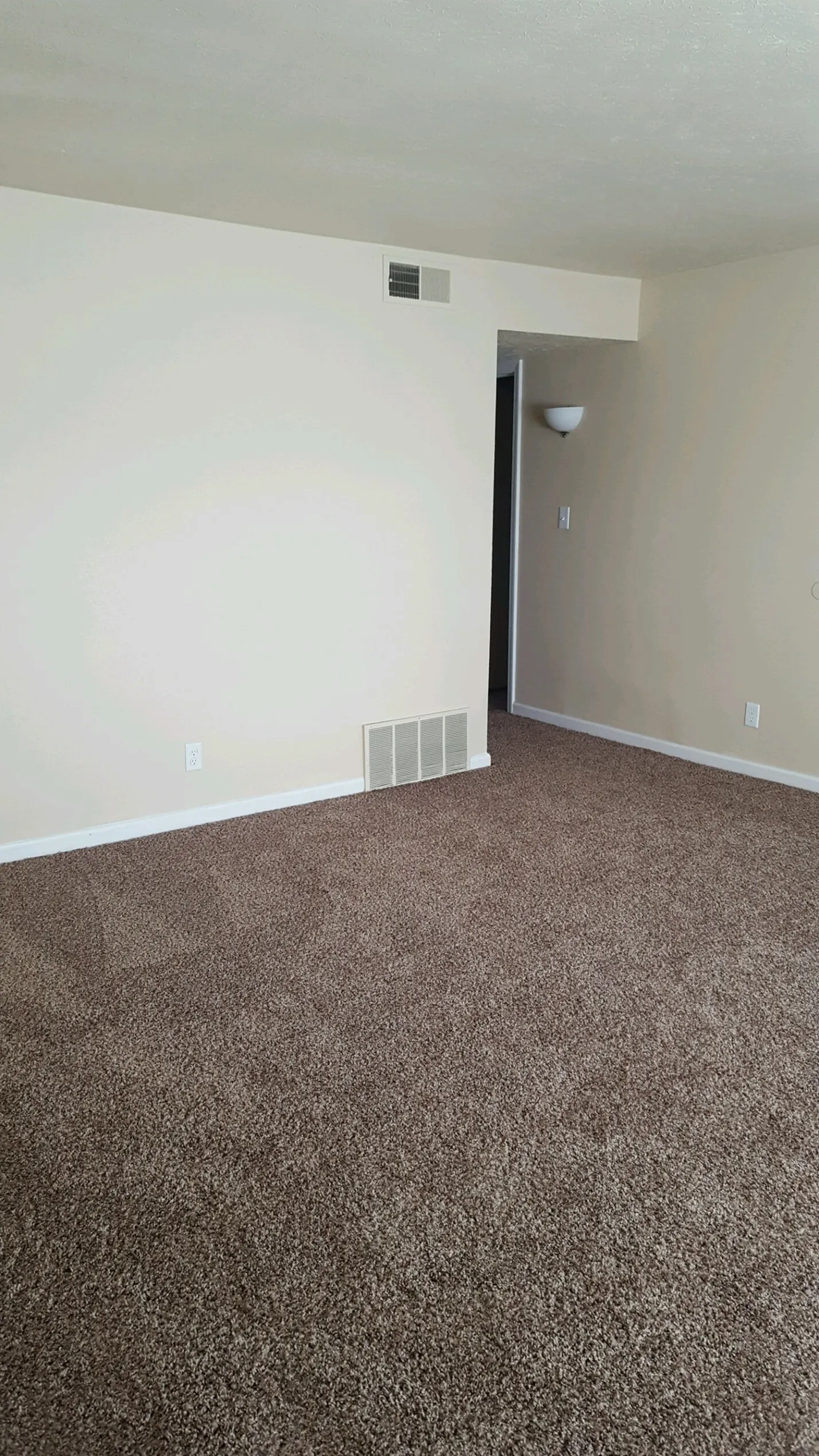 Large Living Room