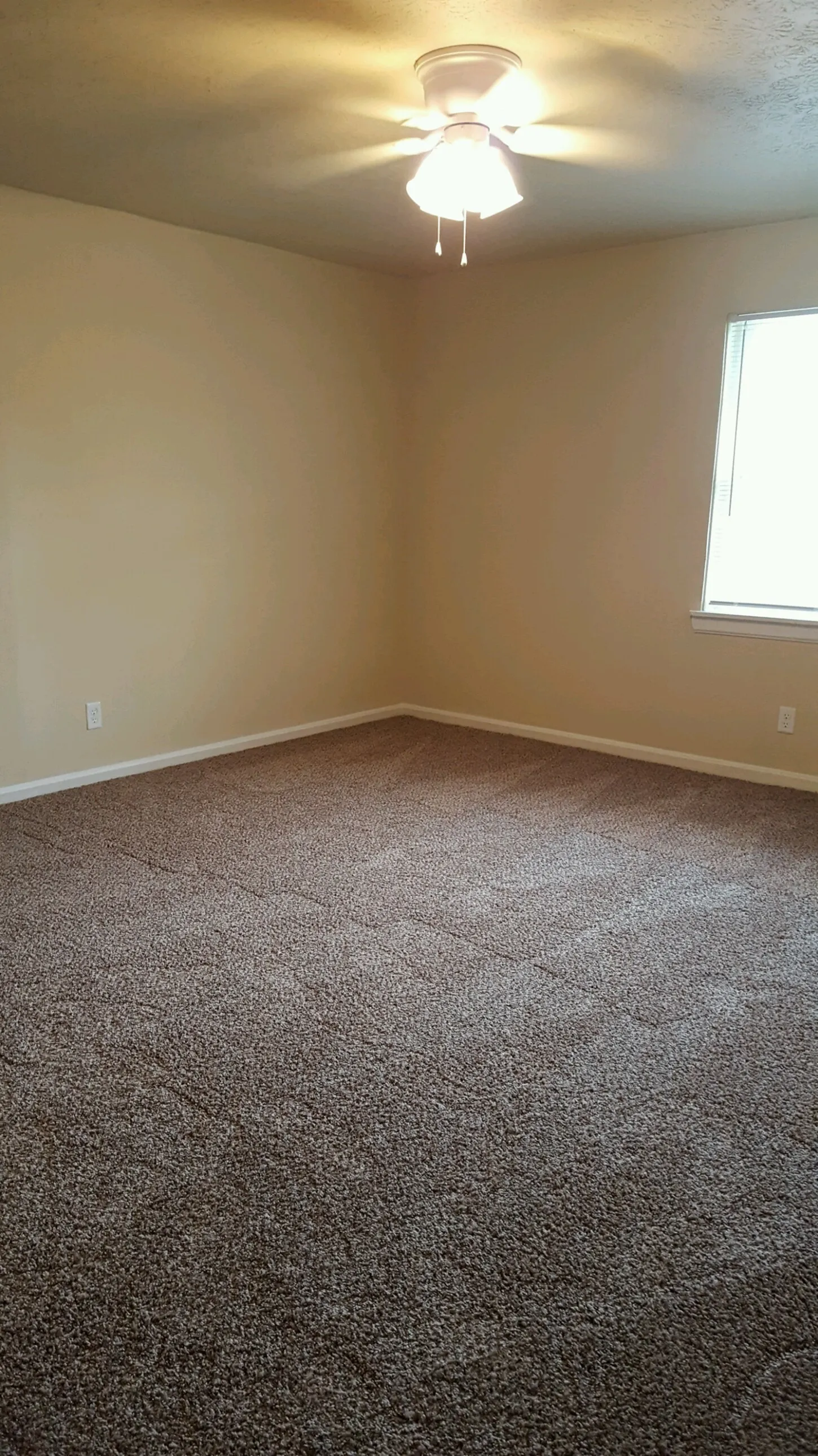 Bright Second Bedroom
