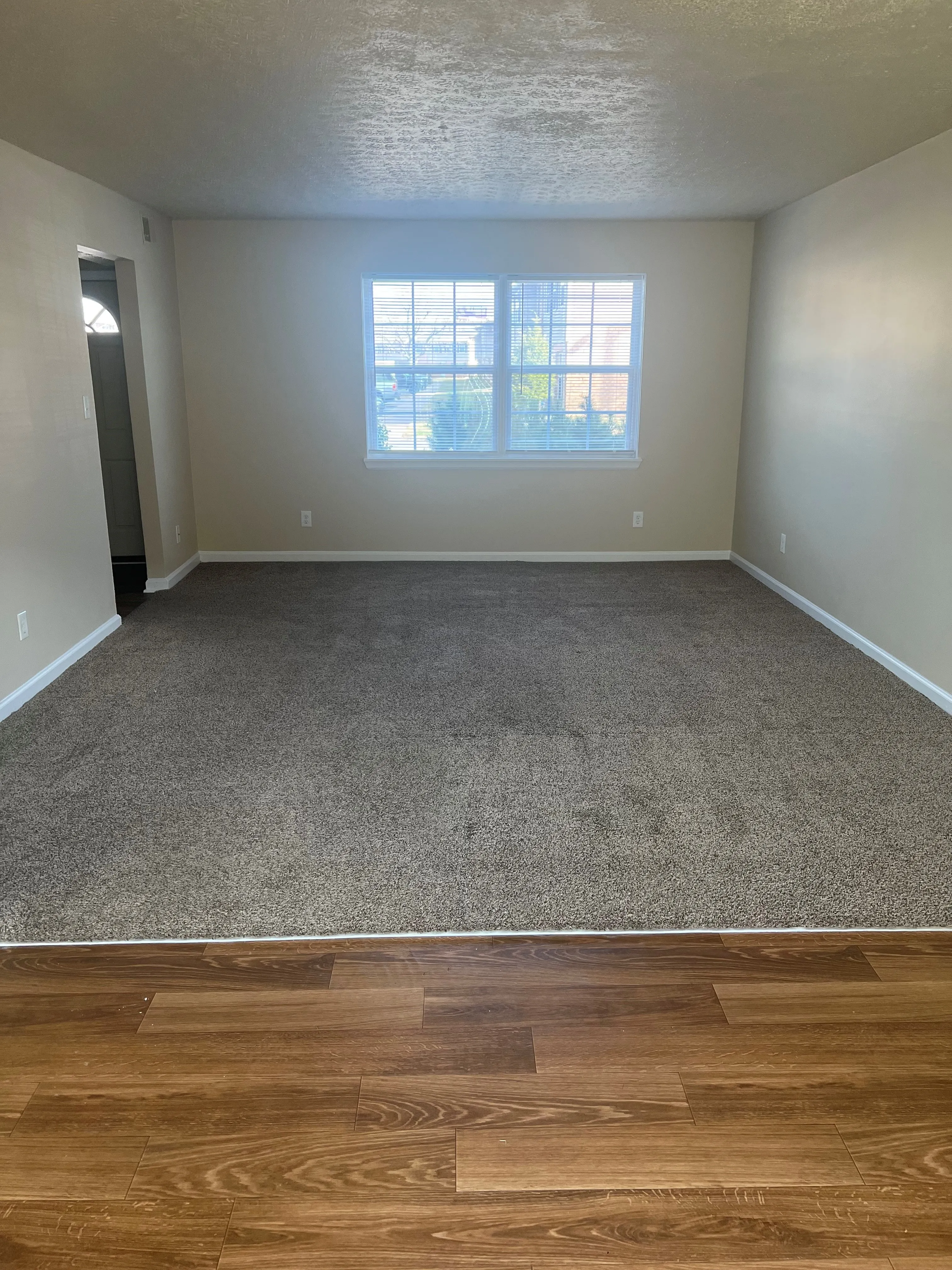 Huge Open Living & Dining Area