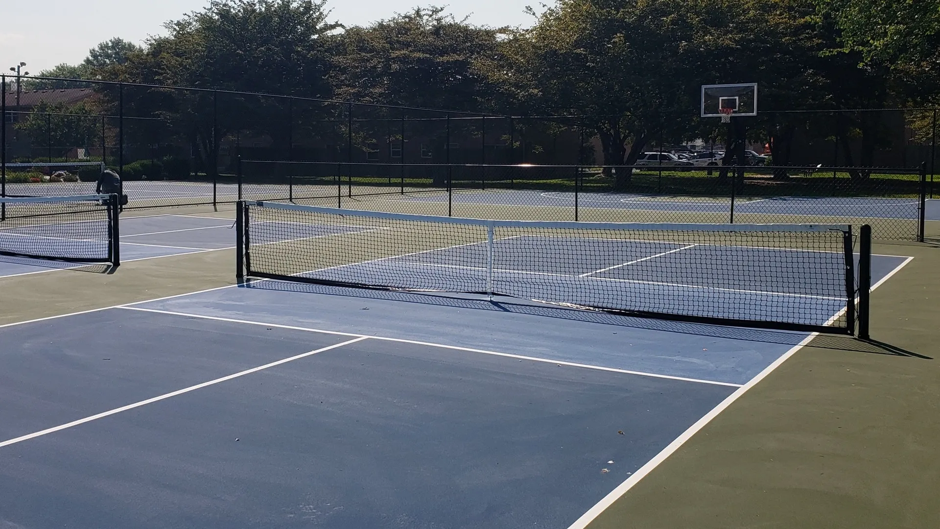 Pickleball Anyone?