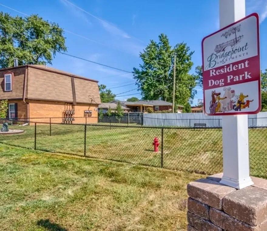 Awesome Dog Park