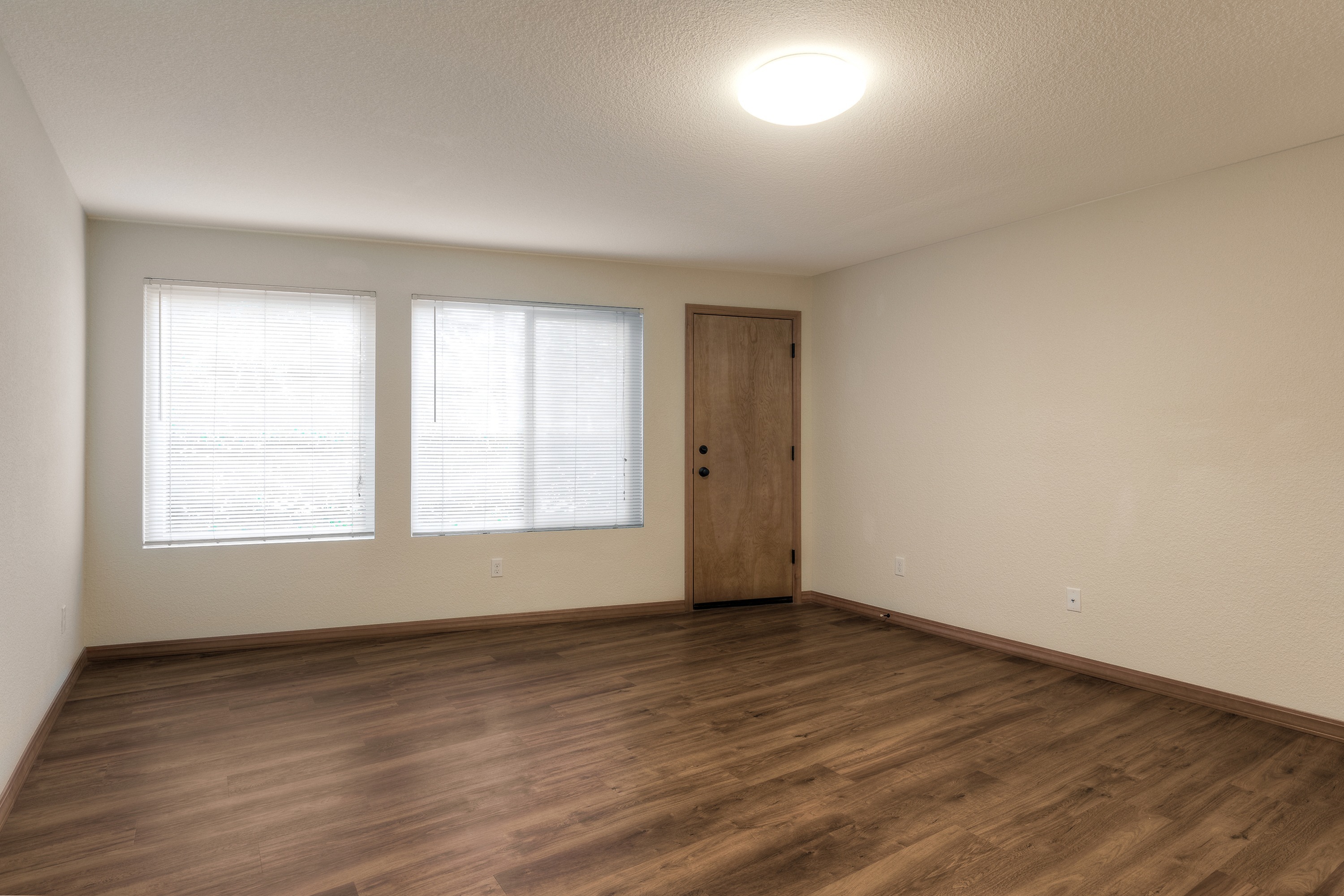 Spacious Living Room