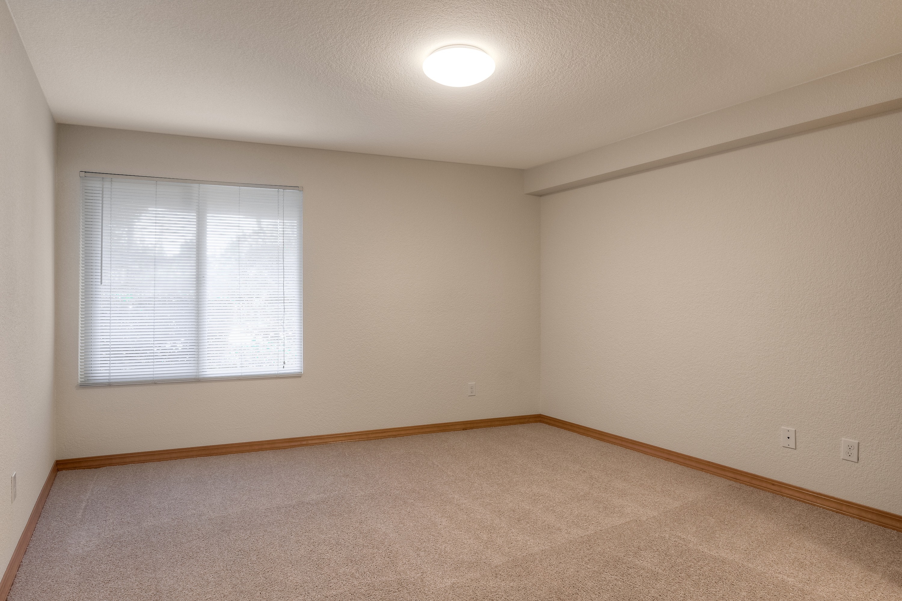 Spacious Bedroom
