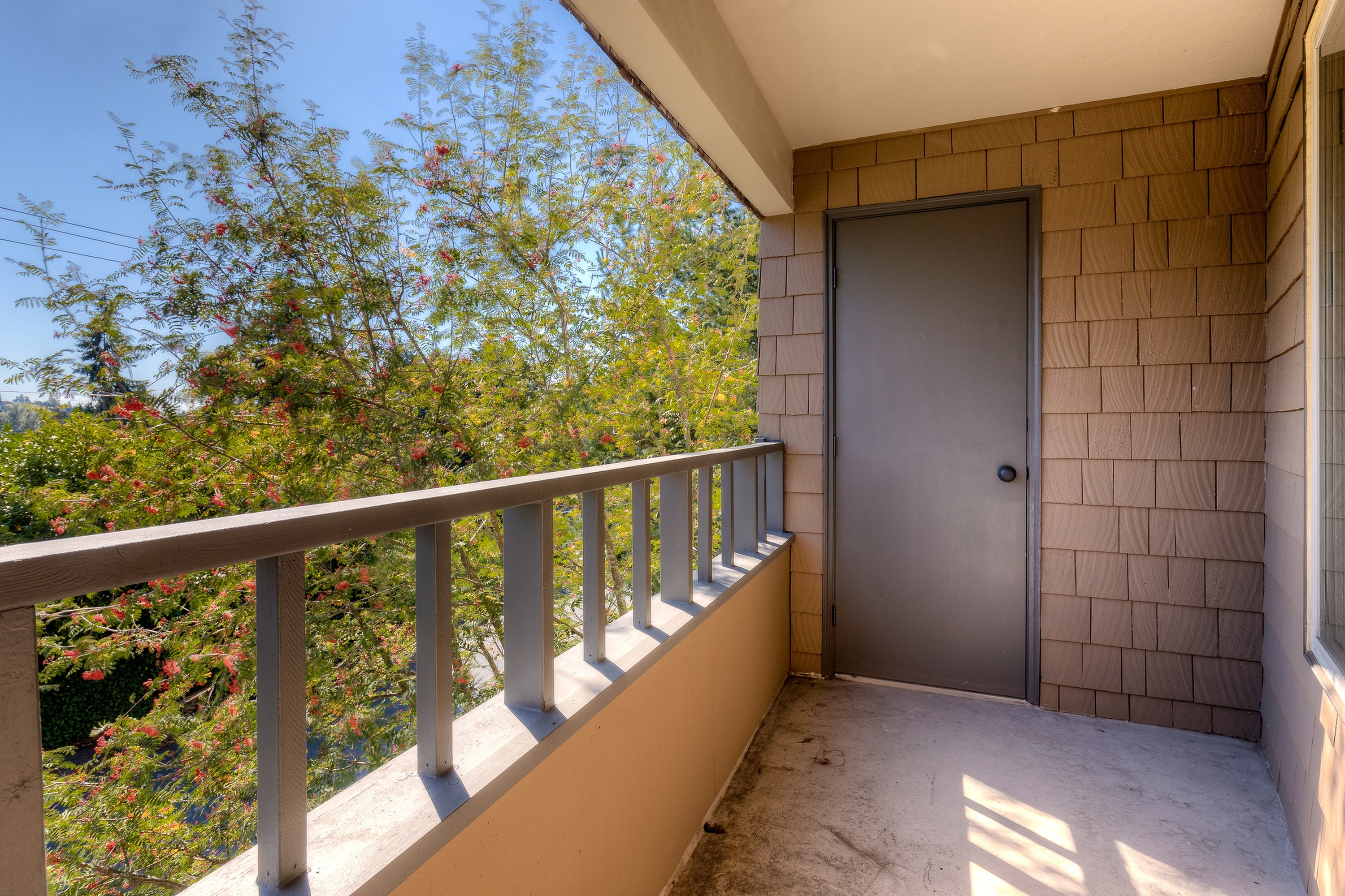 Spacious Apartment Balcony