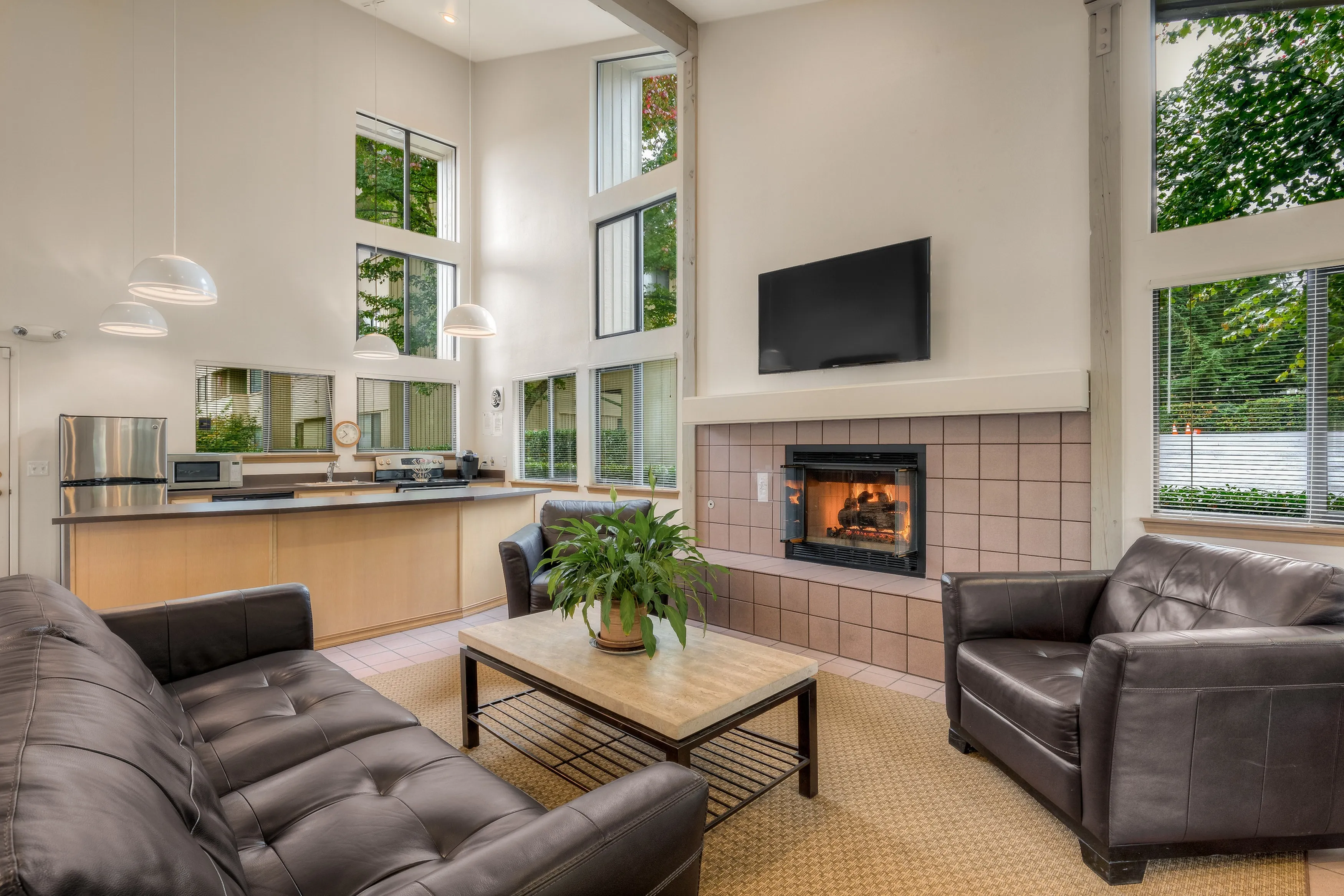 Luxurious Living Room