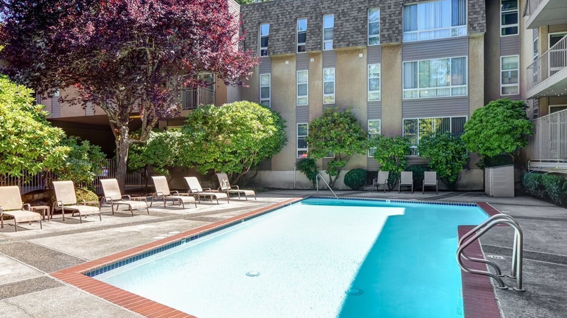 Resort Style Pool