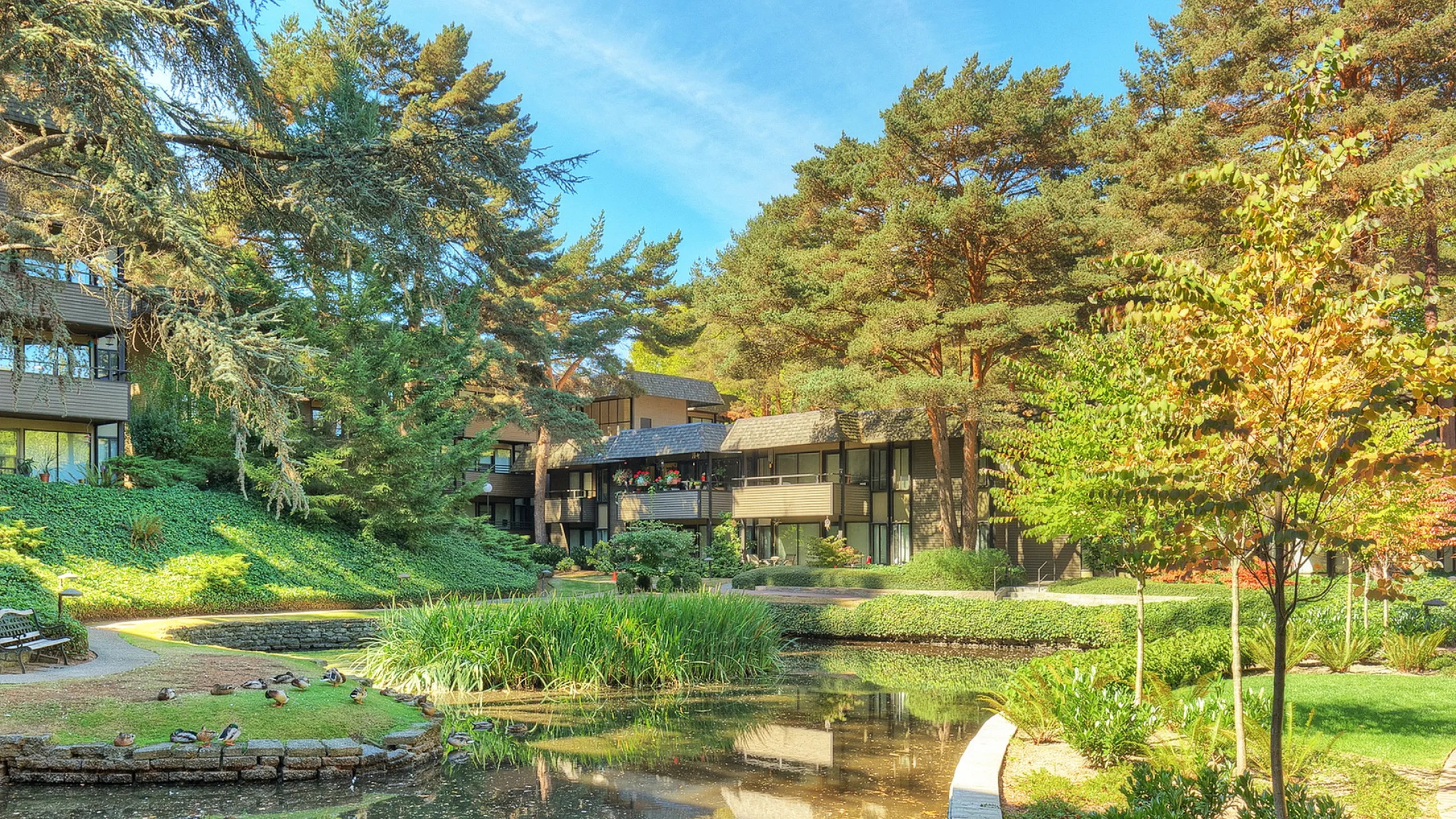 Serene apartment complex surrounded by lush greenery and a tranquil pond, perfect for nature lovers seeking a peaceful living environment.