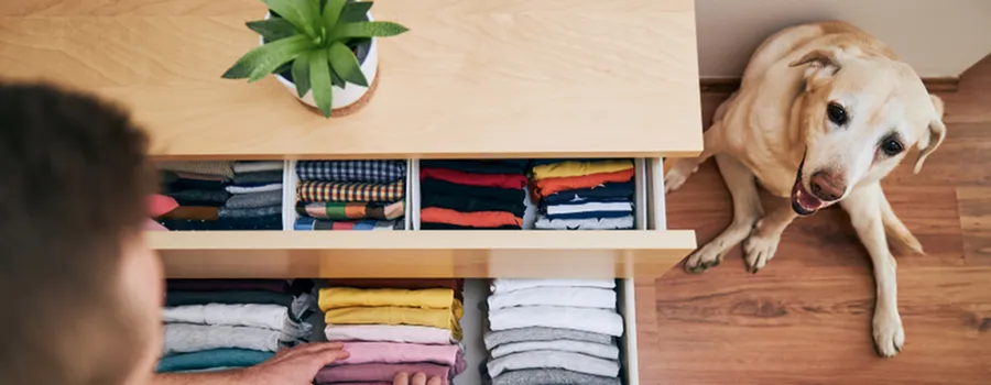 Organizational Tips for Your Apartment in the New Year-image