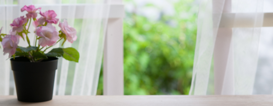 Decorating Your Space for Summer Bliss-image