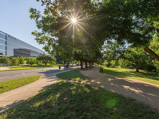 Scenic pathway lined with lush trees and a modern building, featuring vibrant greenery and sunny skies.