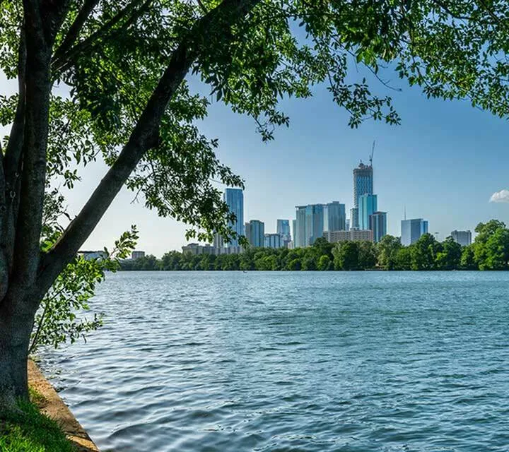 Scenic city skyline view from a serene waterfront, framed by lush green tree branches.