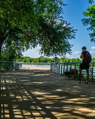 Scenic lakeside walkway with lush greenery, perfect for relaxing strolls, under a clear blue sky.