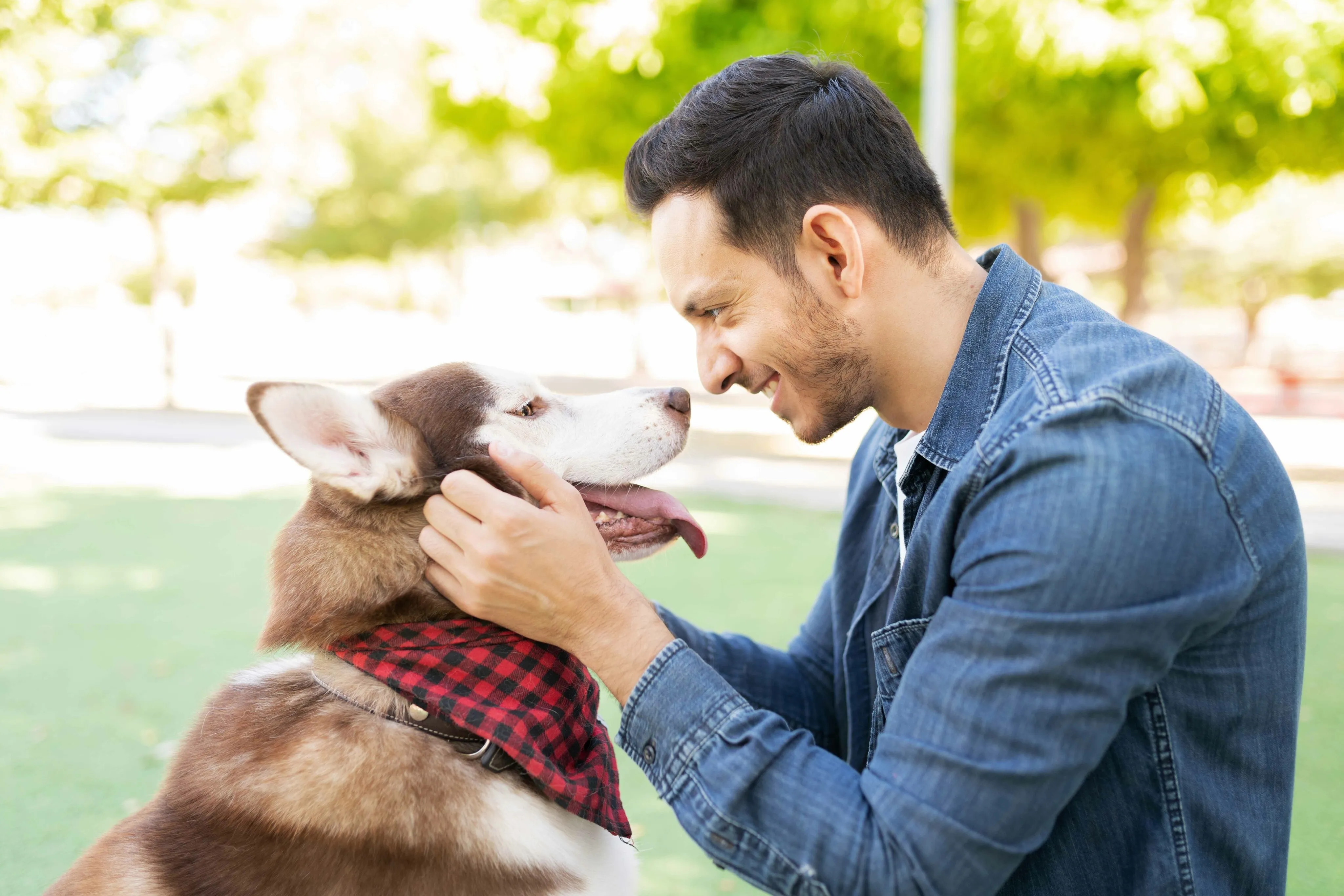 pet friendly