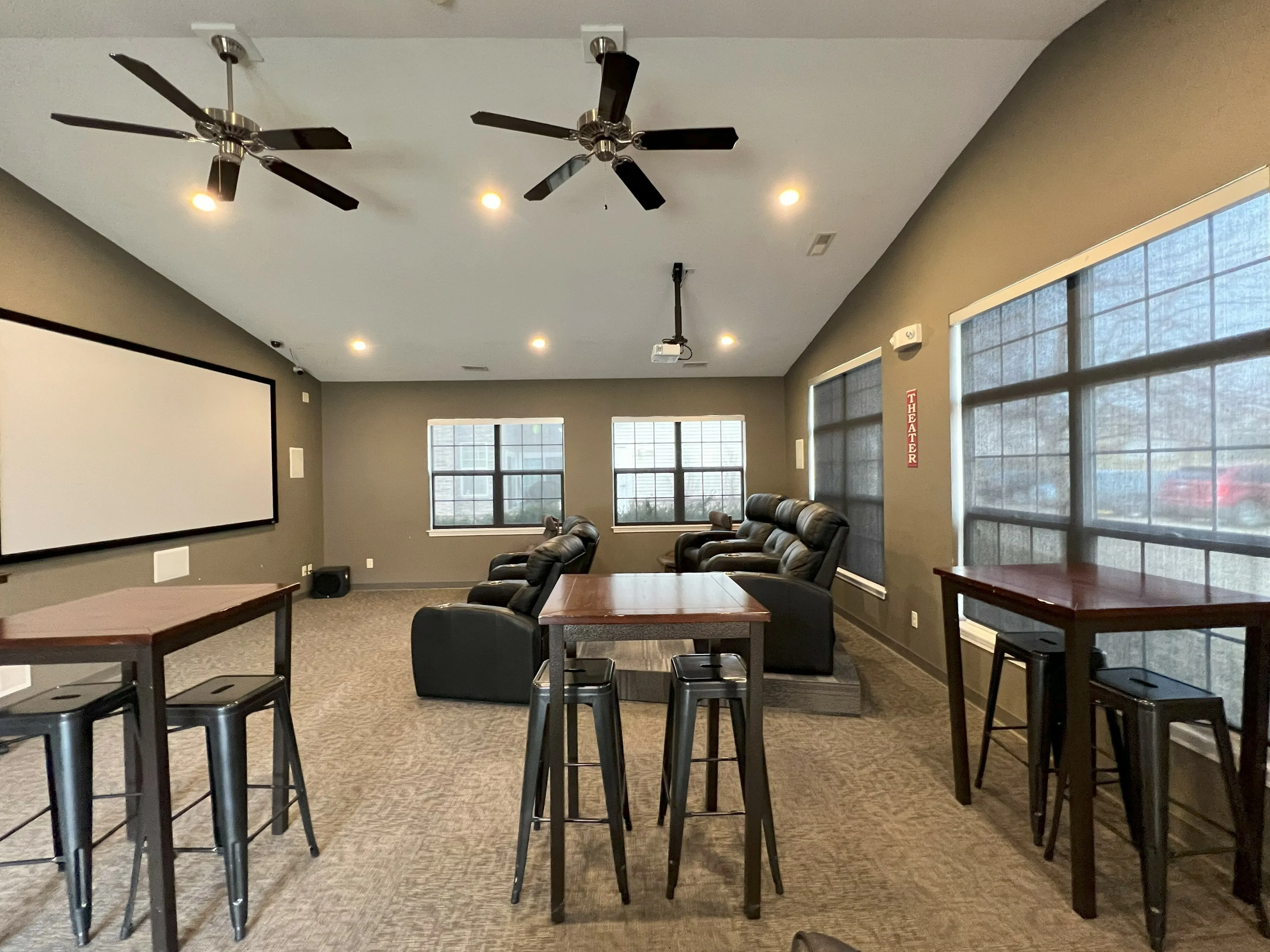 Theatre Room