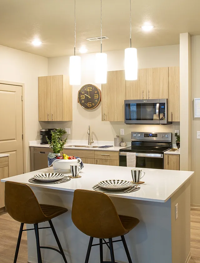Emory Unit Kitchen
