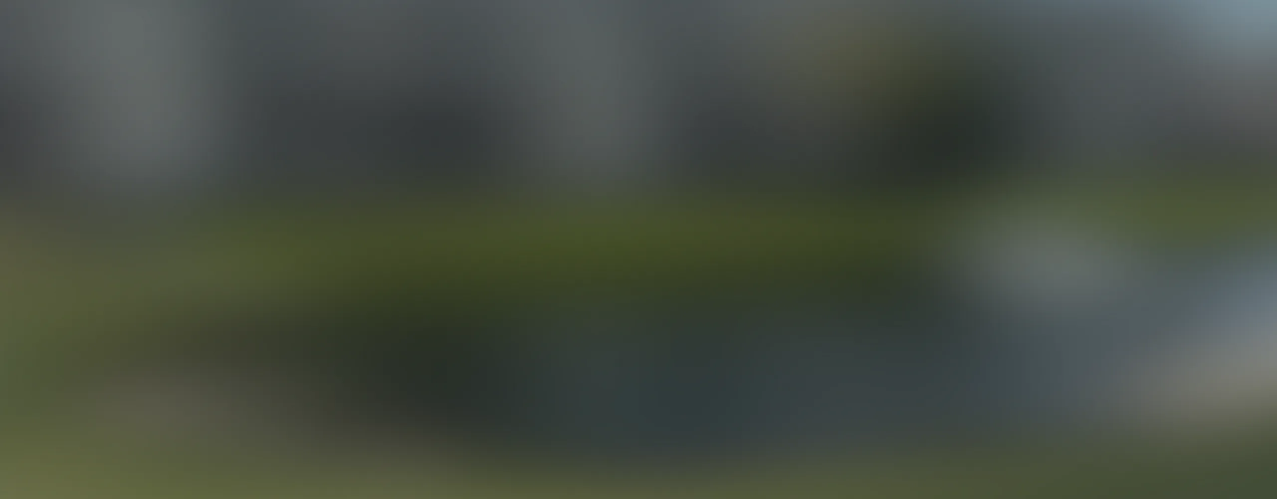 Blurry Background Image