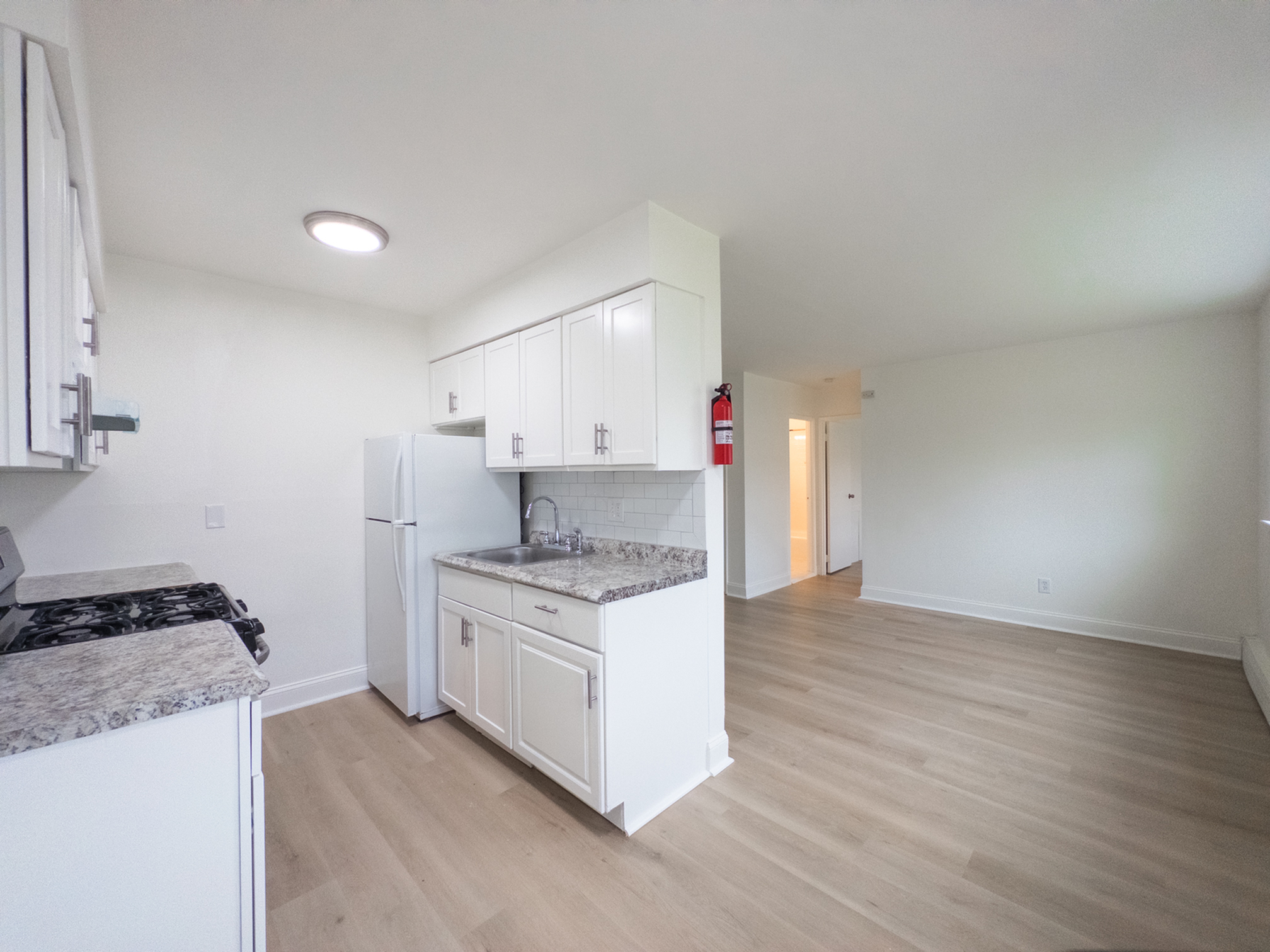 apartments with overhead light in kitchen, wood floor