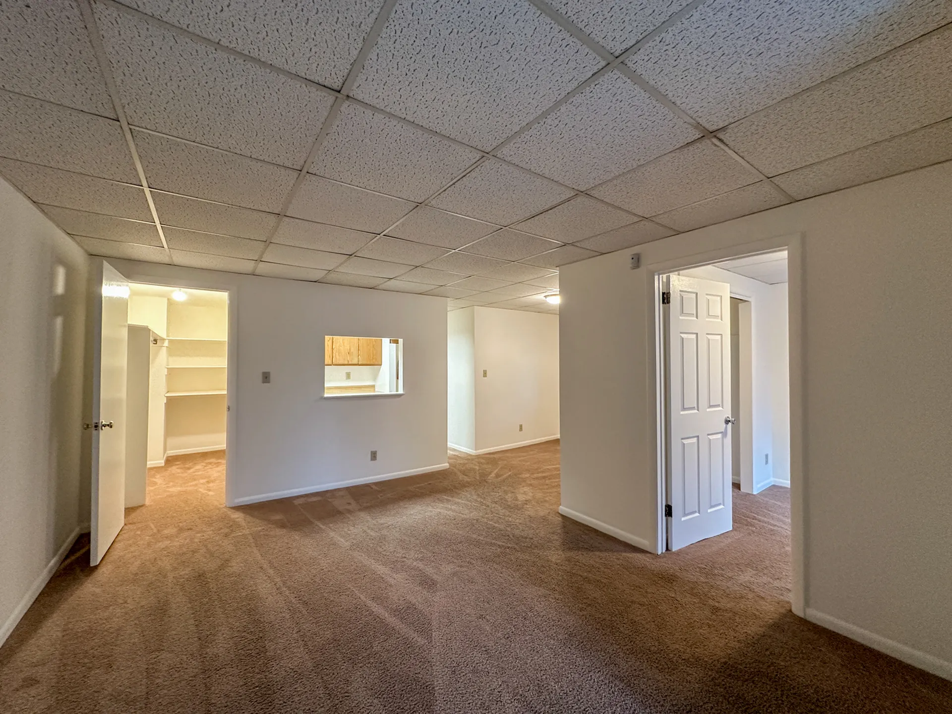 Spacious open-plan living area with warm carpet flooring, featuring closet and a glimpse into a cozy kitchen area.