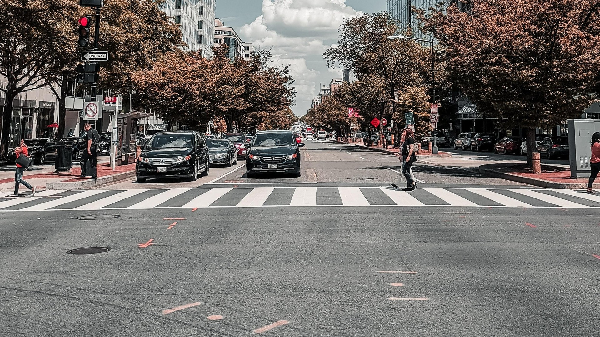 street view of a busy city crosswalk with trees