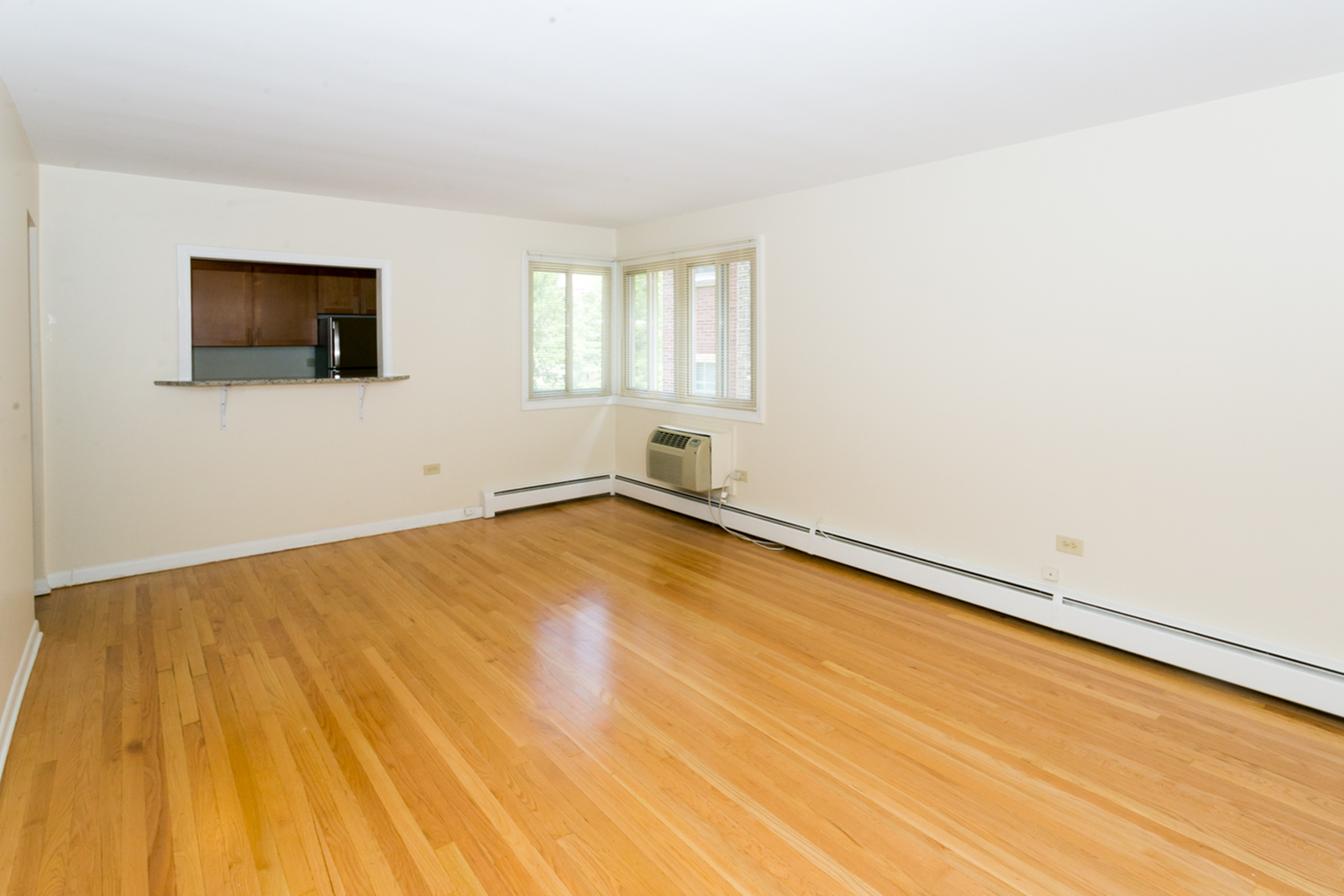 Large open living area featuring hardwood floors kitchen pass through and 2 windows.