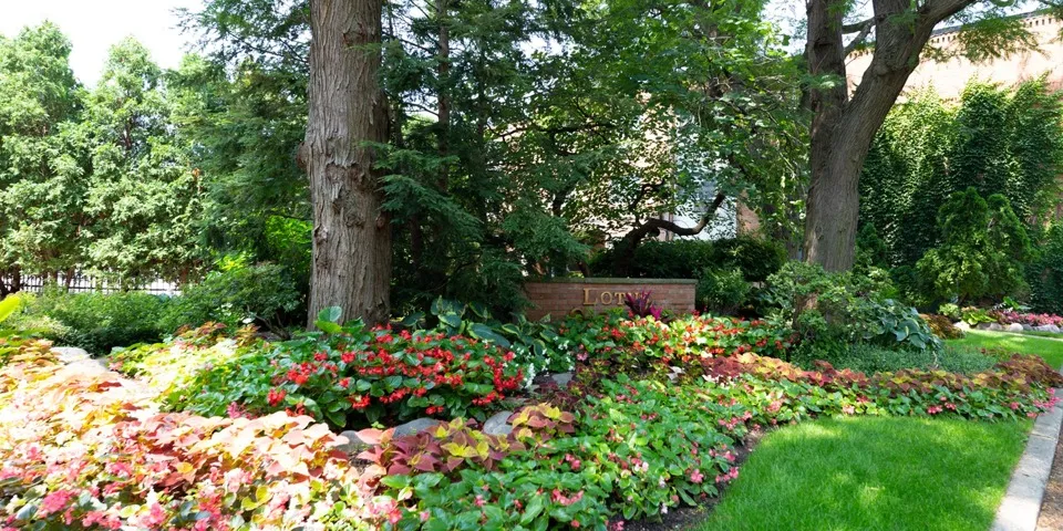 A garden area with brightly colored flowers.