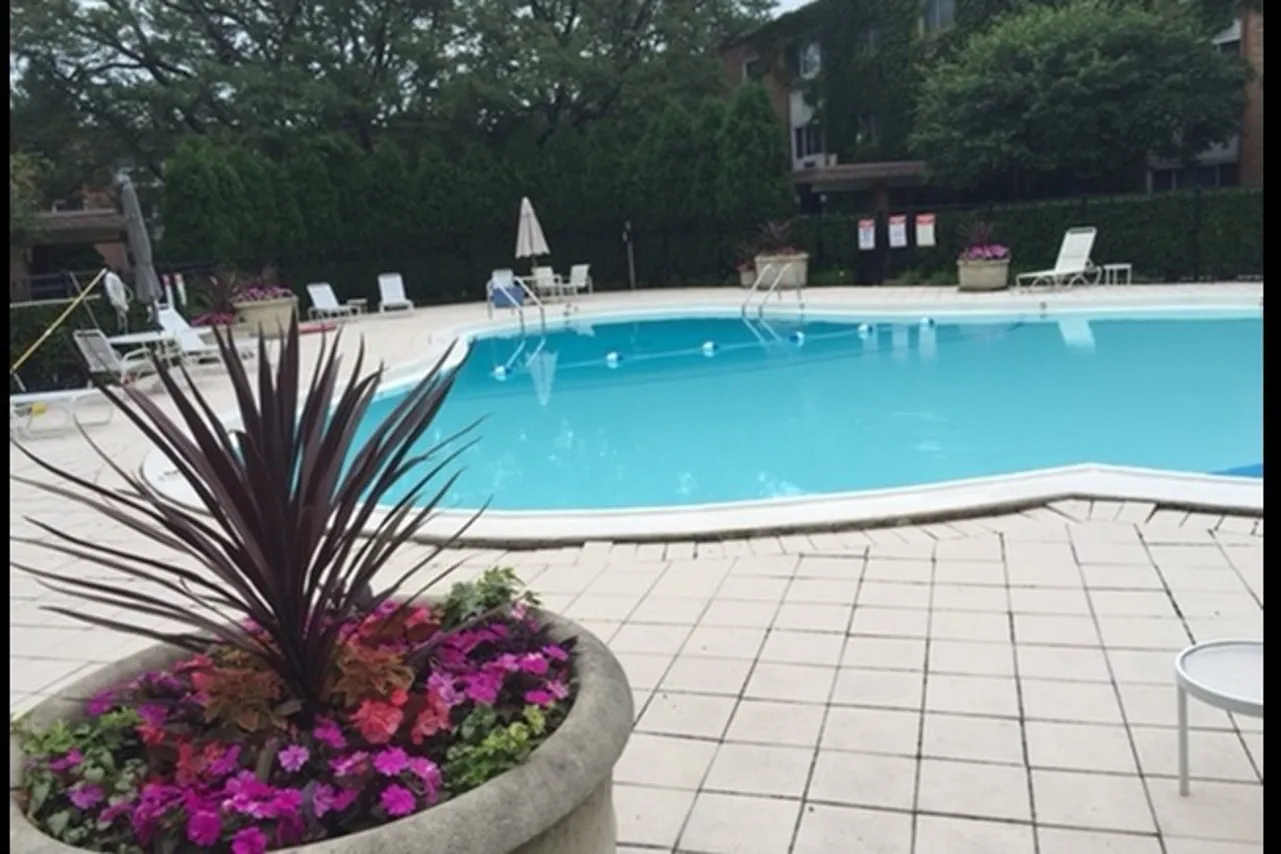A free pool with potted plants and lounge chairs for summertime use.