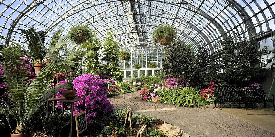 Garfield Park Conservatory with dramatic glass canopy and lush colorful plantings.