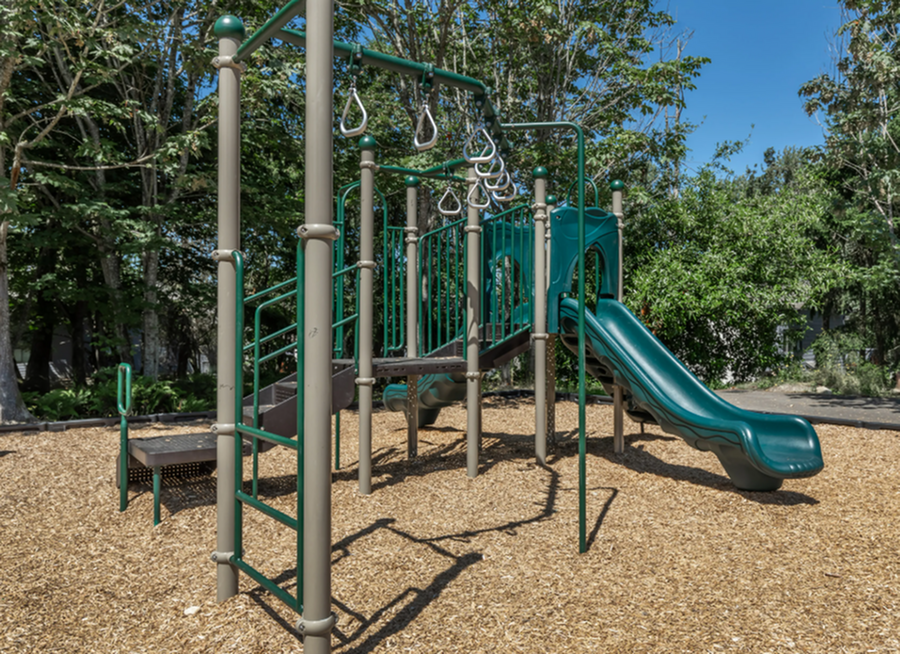The Community Amenities That Define Luxury Living-image