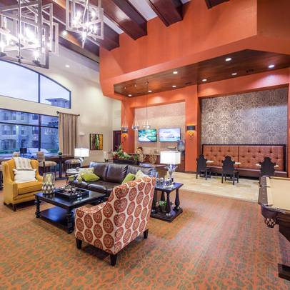 Modern Comfort Awaits: Affordable Apartments with Exceptional Amenities-image