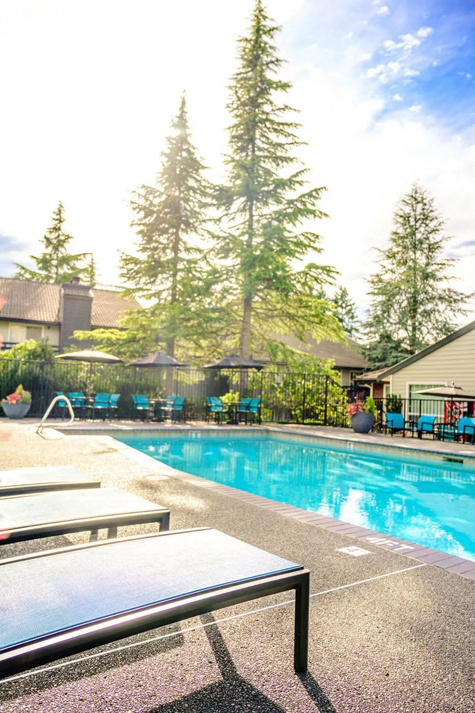 All About Mill Creek, WA-image