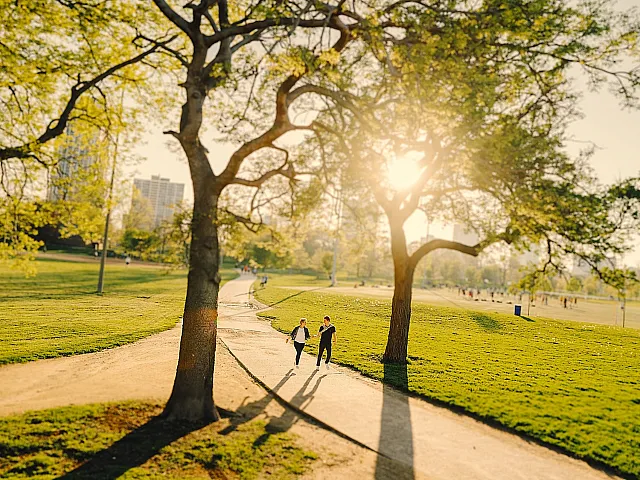 A sunny day with people walking in a large open park containing lots of grass and trees
