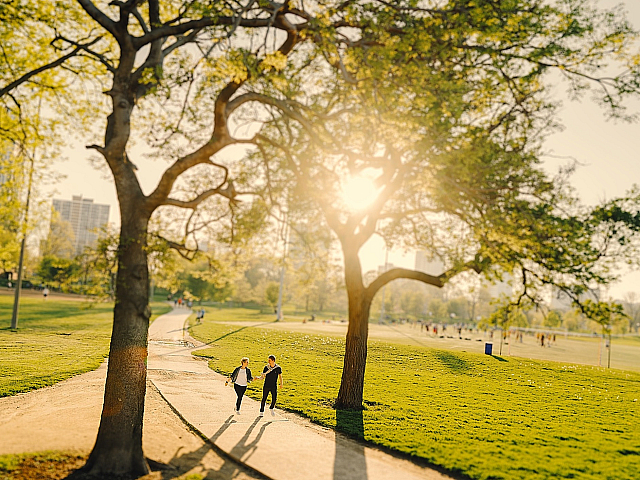 a sunny day with people walking in a large open park containing lots of grass and trees