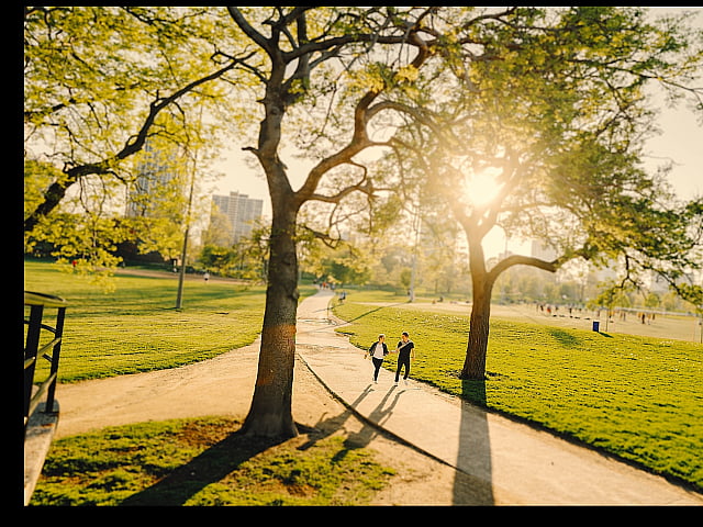 a sunny day with people walking in a large open park containing lots of grass and trees