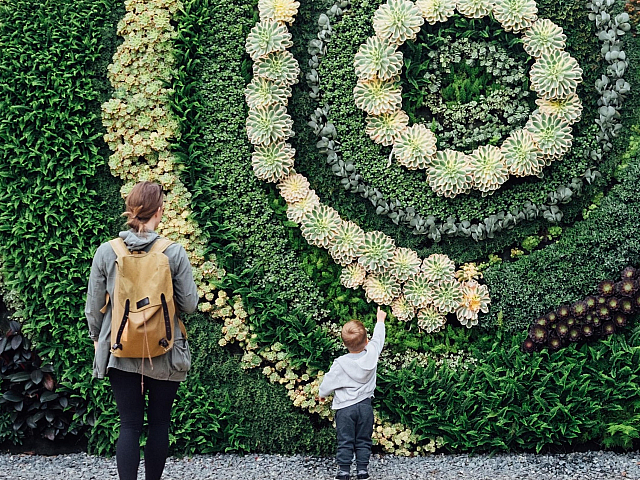 mom and child looking at a green wall display