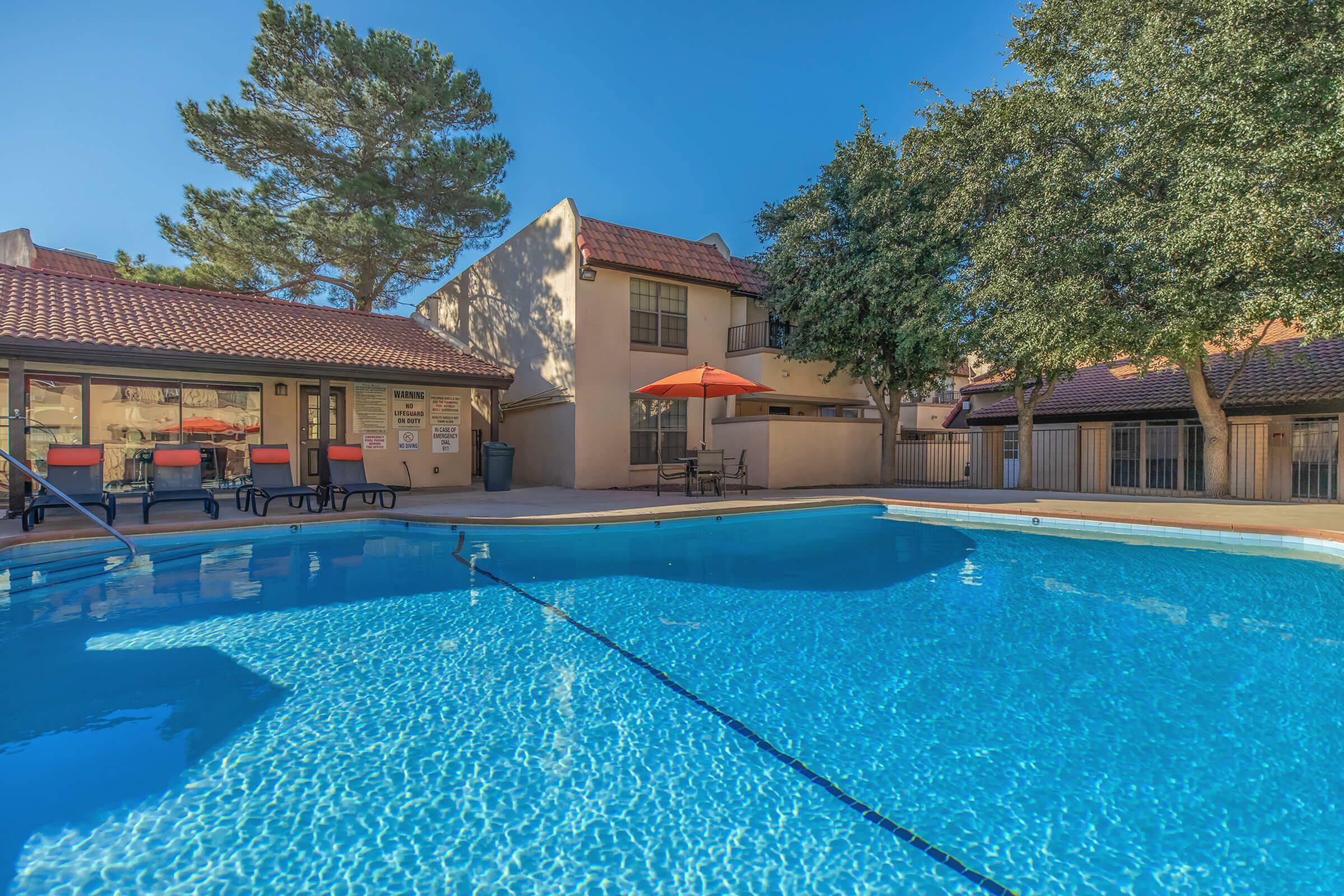 shimmering swimming pool