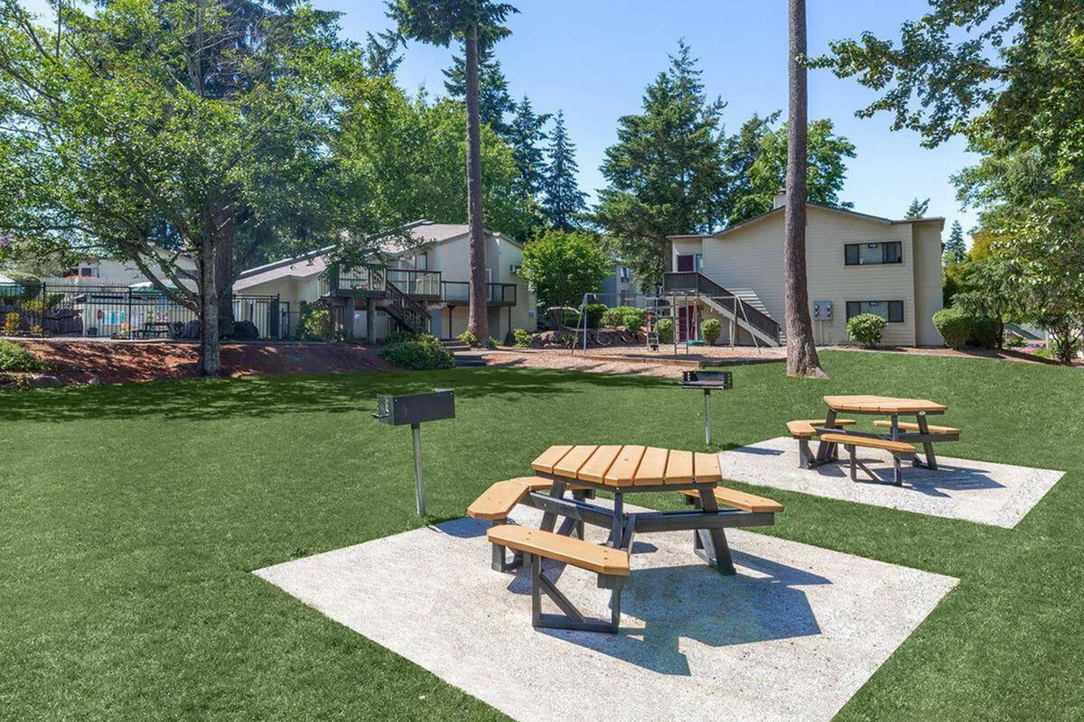 playground and picnic