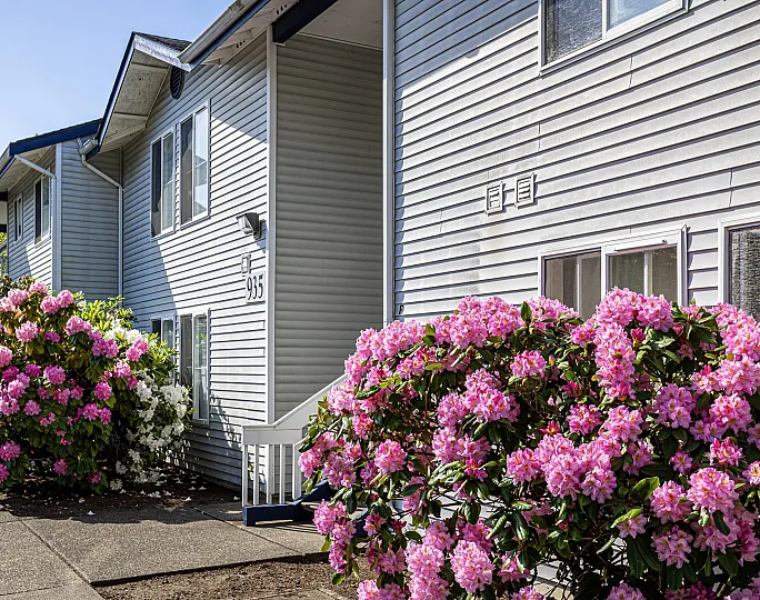 beautiful landscaping