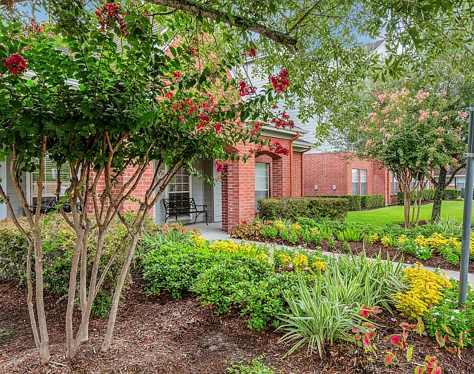 beautiful landscaping