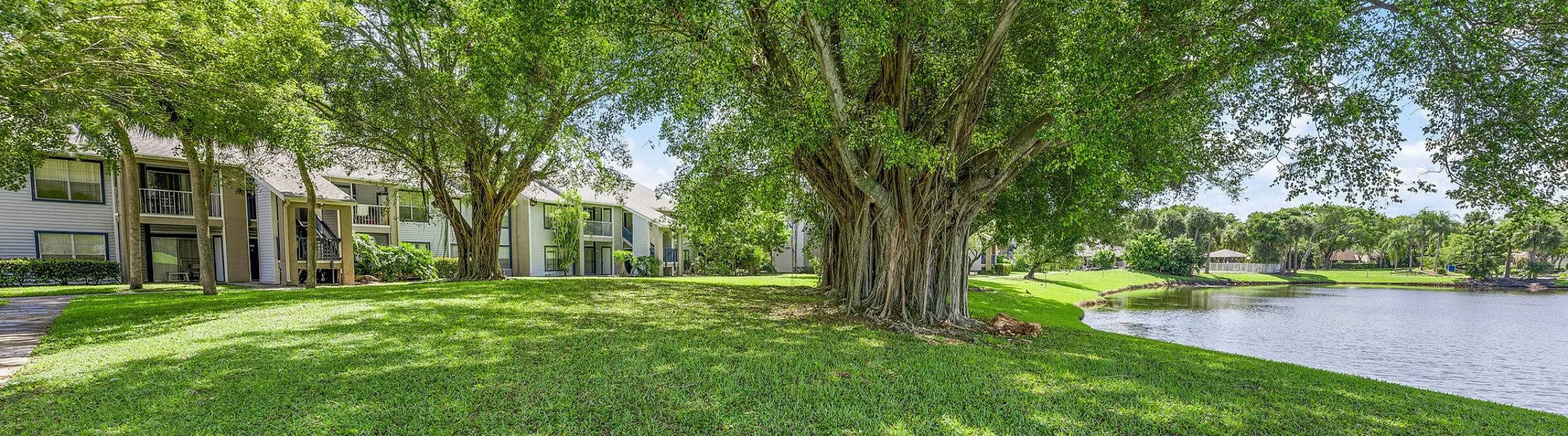 green space and trees beside the property