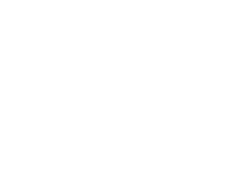 forest view