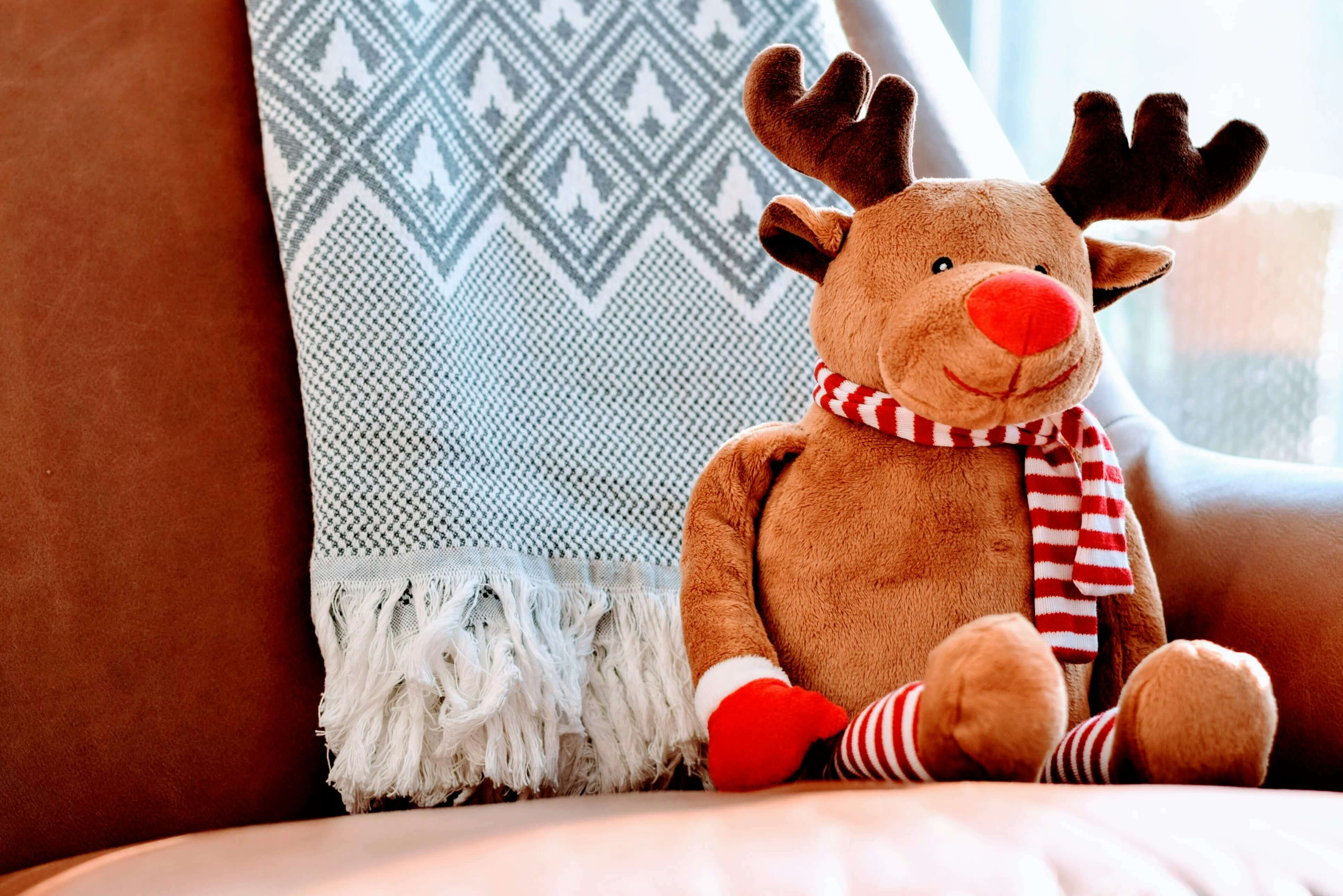 Affordable Ways to Decorate Your Student Apartment This Holiday-image