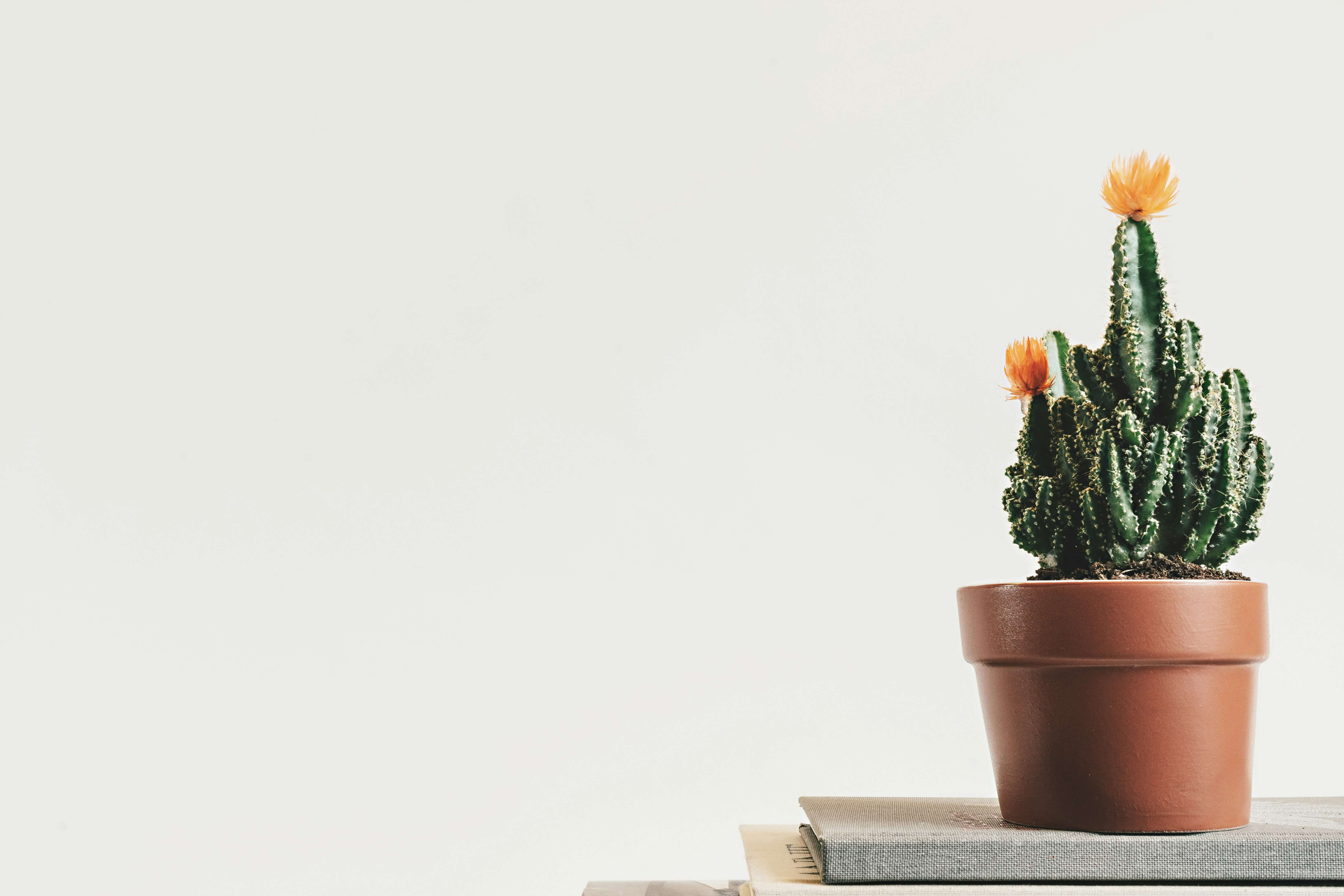 11 Gifts for Graduating Friends-image