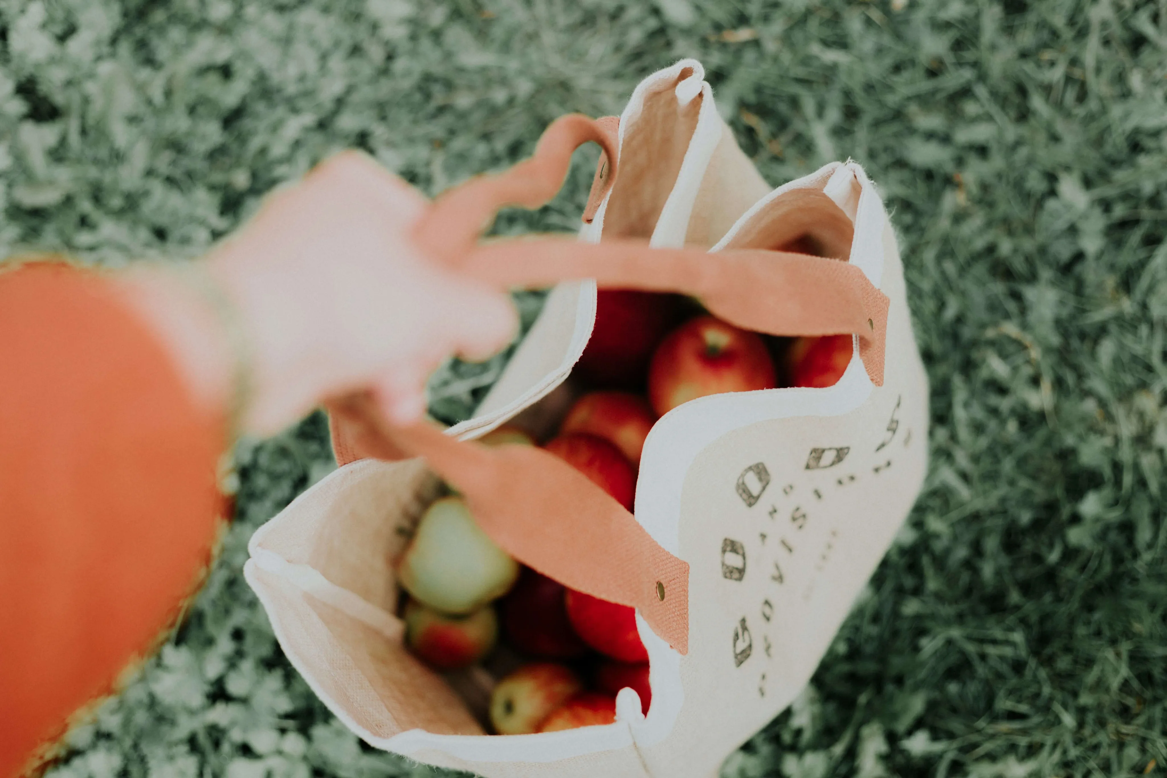 A Guide to Eco-Friendly Living on Campus-image