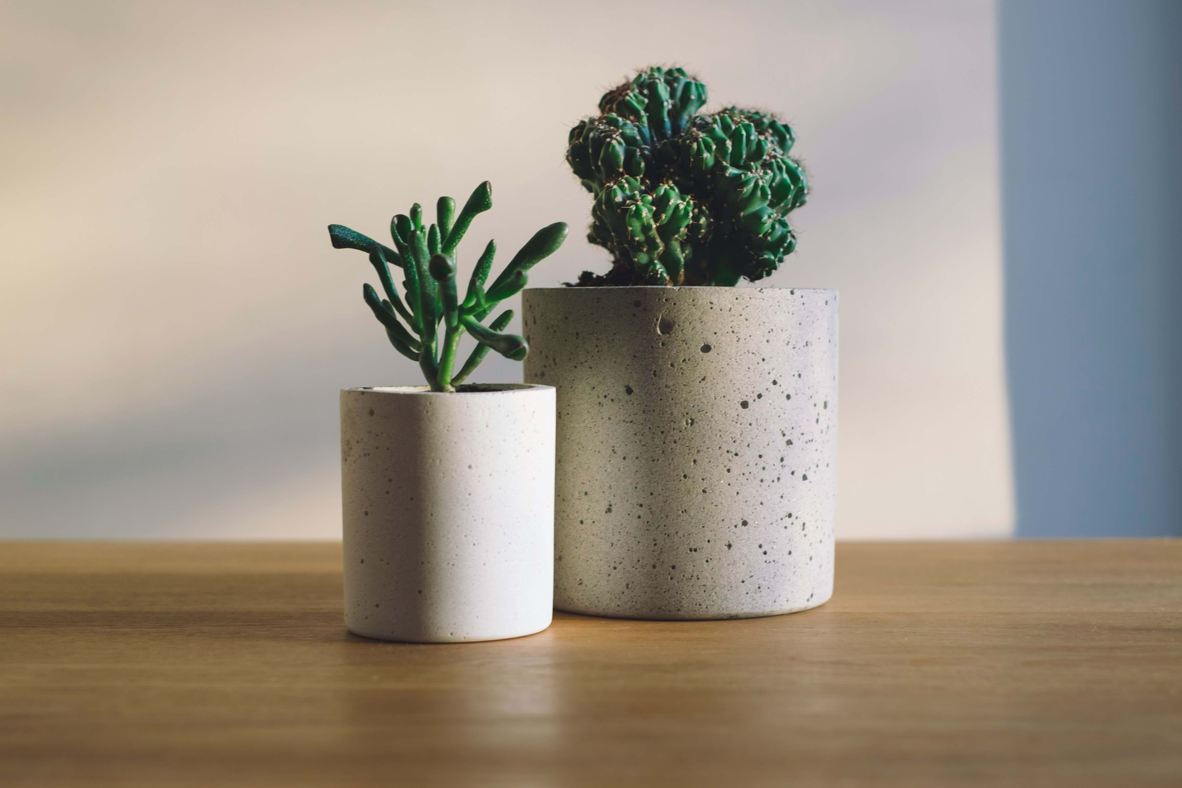 10 of the Best Gifts for Fellow Students-image