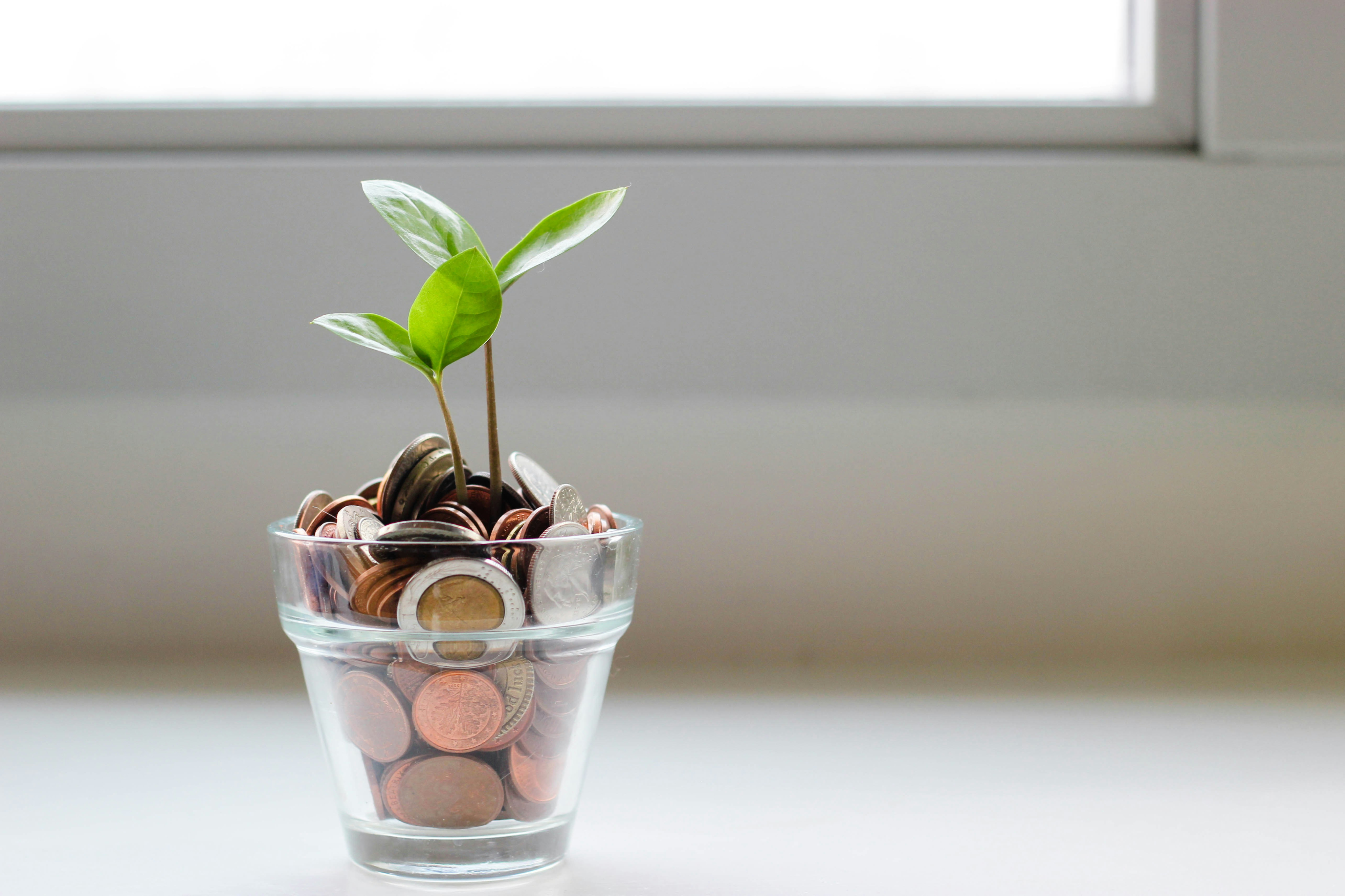 6 Ways to Use Student Discounts and Save Money-image